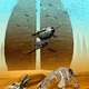 Image for article titled Support free science fiction short stories online by donating to Strange Horizons